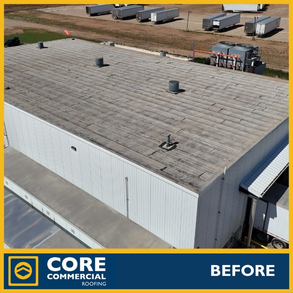Weathered commercial membrane roof surface before a restoration, a candidate for coating rather than replacement