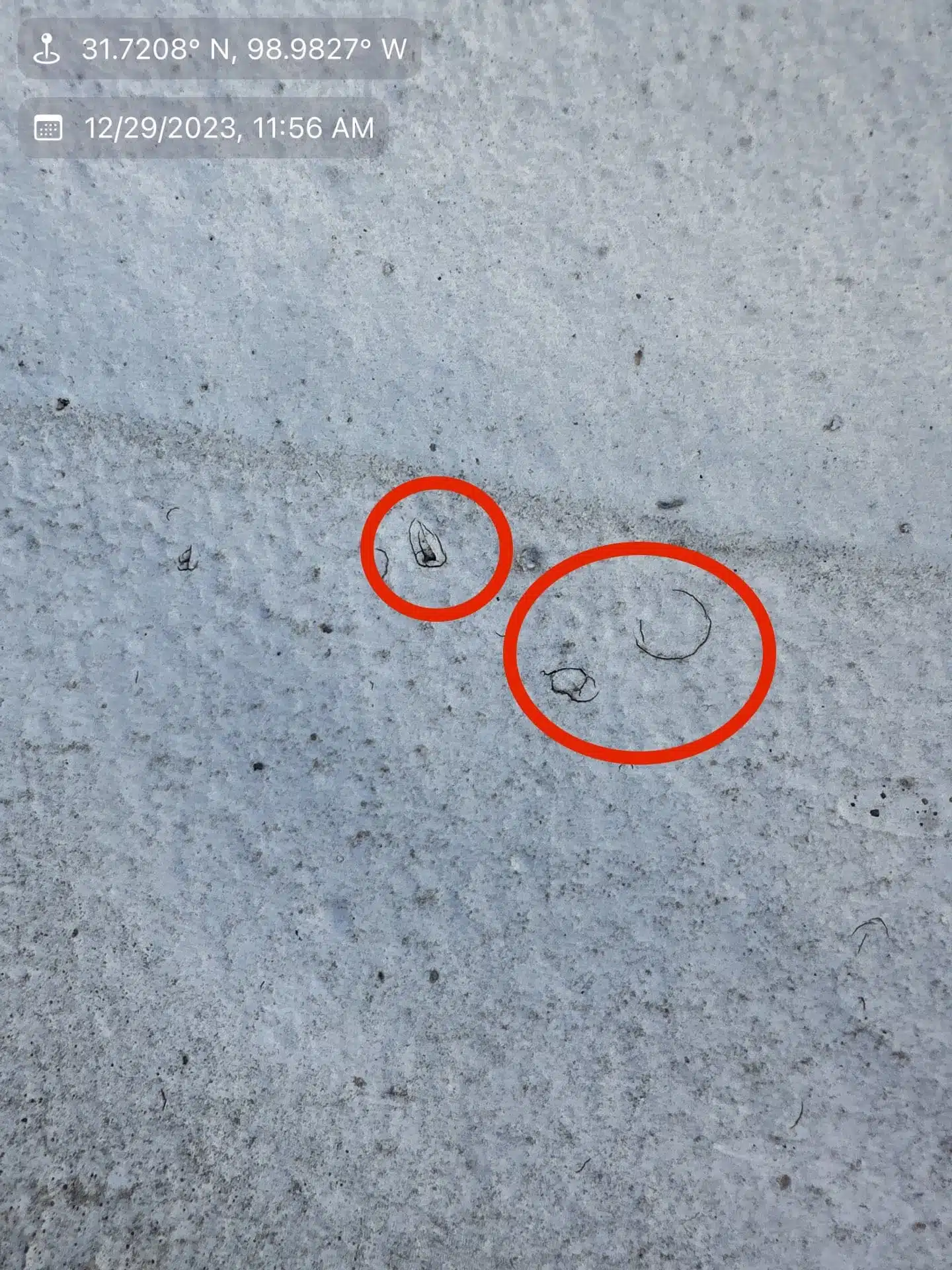 SPF Roof Re-Coated with Silicone for Enhanced Durability​