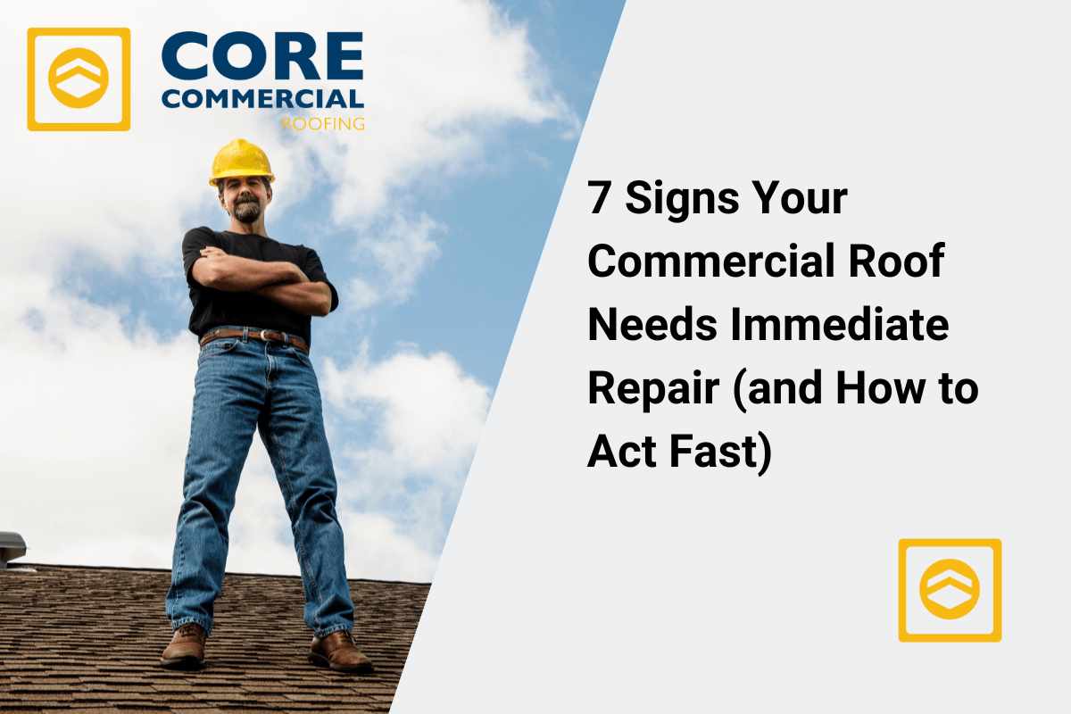 Commercial Roof