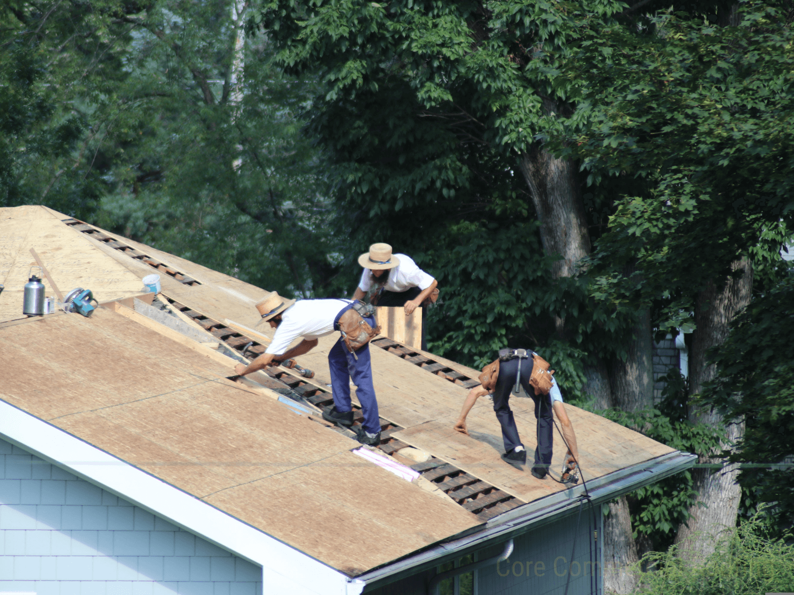 Three workers installing plywood sheathing on a roof deck surrounded by leafy trees