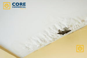 Water stain and peeling paint on a white ceiling due to a severe roof leak, with the Core Commercial Roofing logo visible.