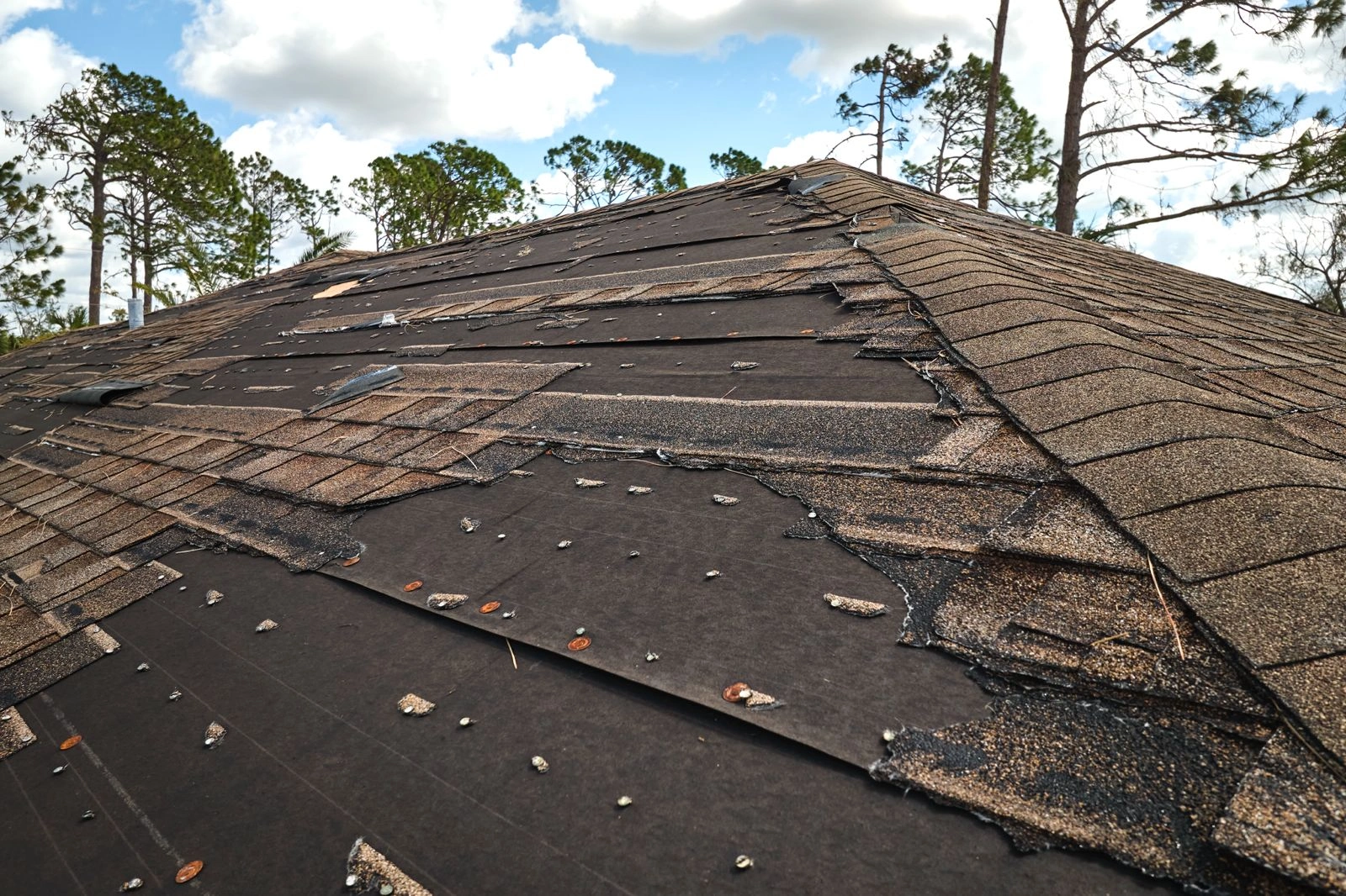 Storm-damaged roof on a Multi-Family & Residential Roofing structure with missing asphalt shingles and exposed black underlayment, surrounded by pine trees under a partly cloudy sky.
